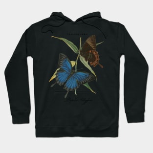 Ulysses butterfly Hoodie